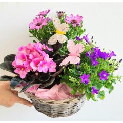 Cserepes virág kosár 02. (ÁPRILIS 29-TŐL KÉSZLETEN)