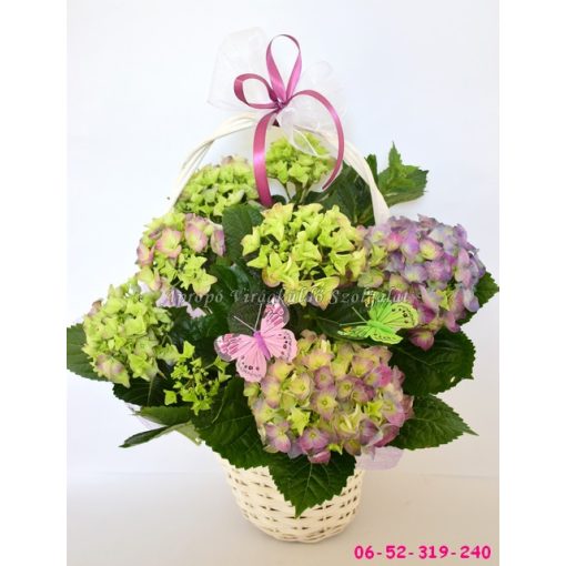 Cserepes virág kosár 03. (ÁPRILIS 29-TŐL KÉSZLETEN)