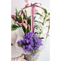 Cserepes virág kosár 01. (ÁPRILIS 29-TŐL KÉSZLETEN)